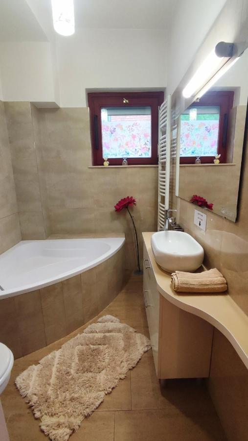 Art Styles Boutique Apartment Szentendre Luaran gambar